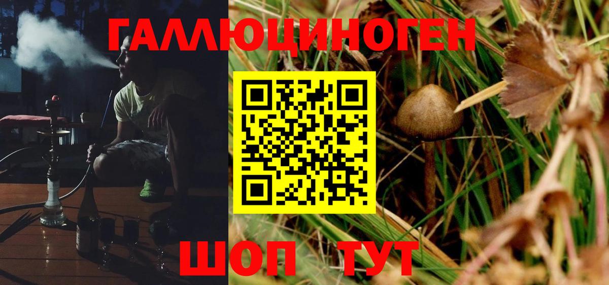 Надым  Галлюциногенные грибы Magic Shrooms  Вход с VPN  Галлюциногенные грибы Cubensis 