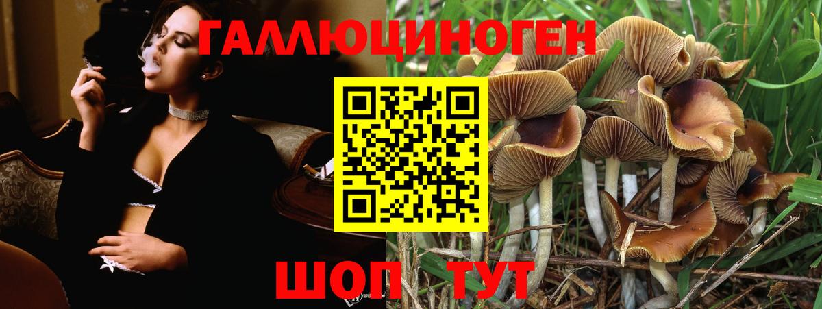 Галлюциногенные грибы MAGIC MUSHROOMS Надым
